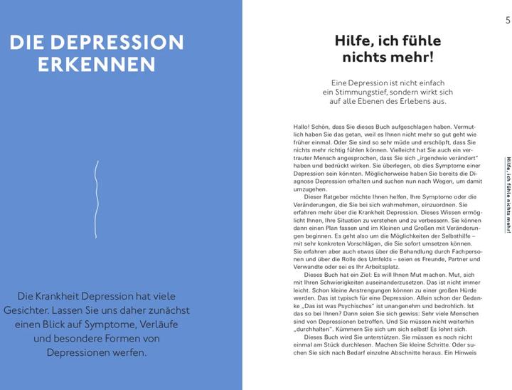 Image du produit Hilfe bei Depressionen (Allemand, Alexander Bredereck, Dr. med. Jana Christina Müller-Flechtenmacher, Mirjam Weinstein-Riechmann, 2023)