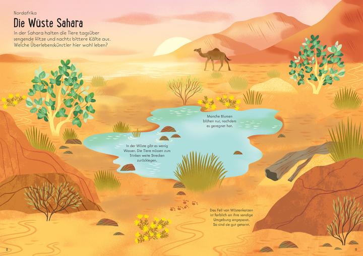 Produktbild Mein Immer-wieder-Stickerbuch: Tiere der Welt