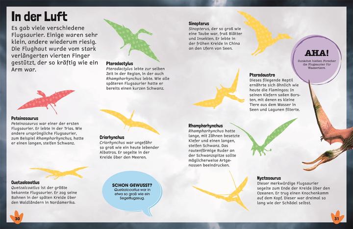 Immagine prodotto Lessico degli adesivi. Dinosauri
