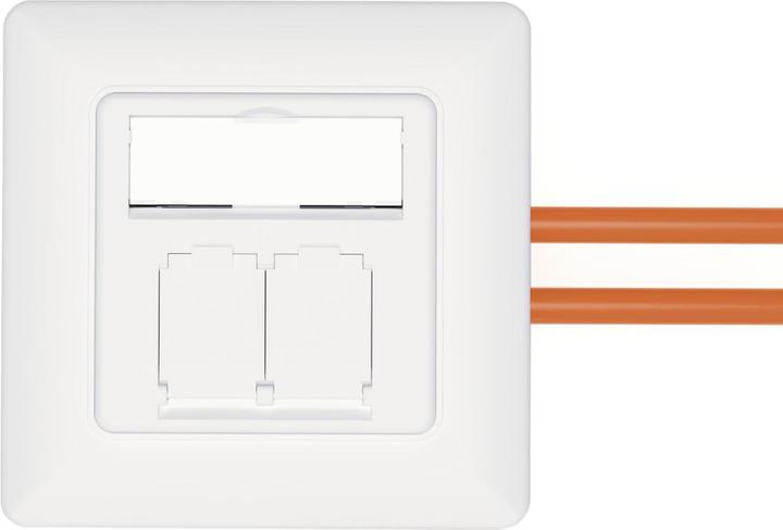 Actual product image Digitus Network socket