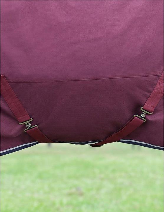 Immagine prodotto Weatherbeeta Comfitec Essential 50g