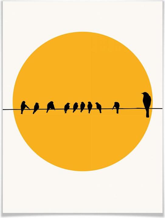 Image du produit Trenddeko Famille Vogel (50 x 60 cm)