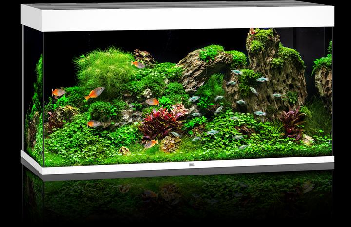 Immagine prodotto Juwel Aquarium Rio LED (350 l)