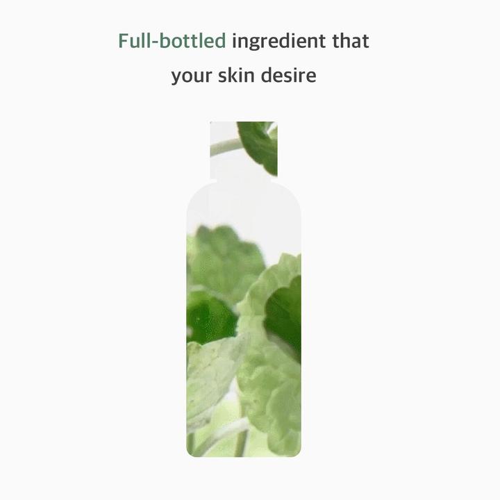 Actual product image NoName Centella Asiatica Toner 10.14 fl oz 300ml (Face toner, 300 ml)