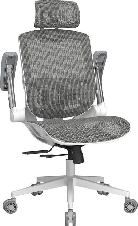 Image du produit Cougar Gaming/Office-Stuhl Speeder One, Mesh, Weiss