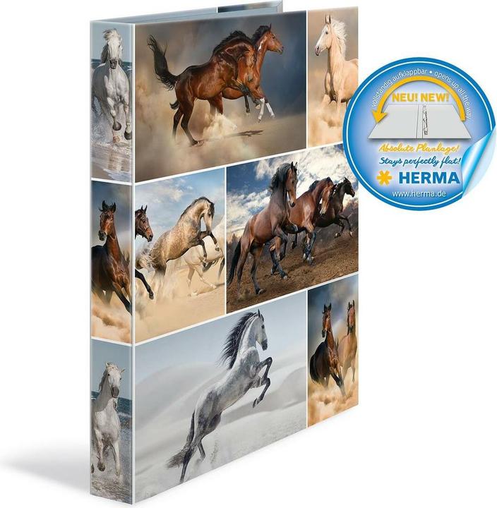 Produktbild HERMA Ringbuch A4 Motiv (A4, 35 mm, 1 Stk.)