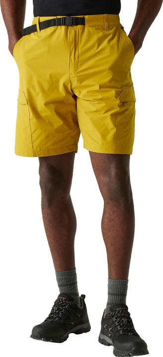 Actual product image Regatta Mens Mallen Shorts (L)