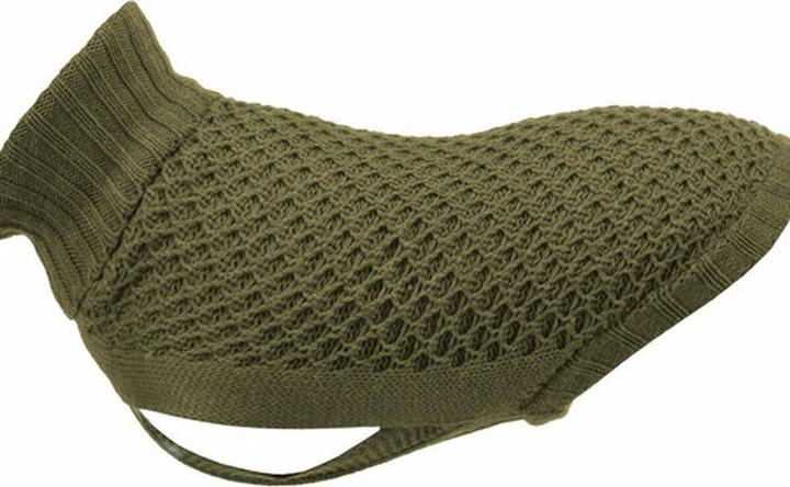 Green olive, Olive, Olive Green