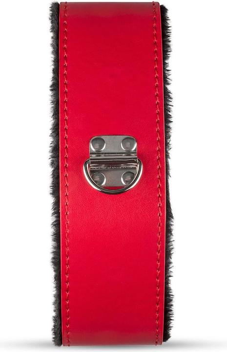 Produktbild Secret Pleasure Chest Red Dragon