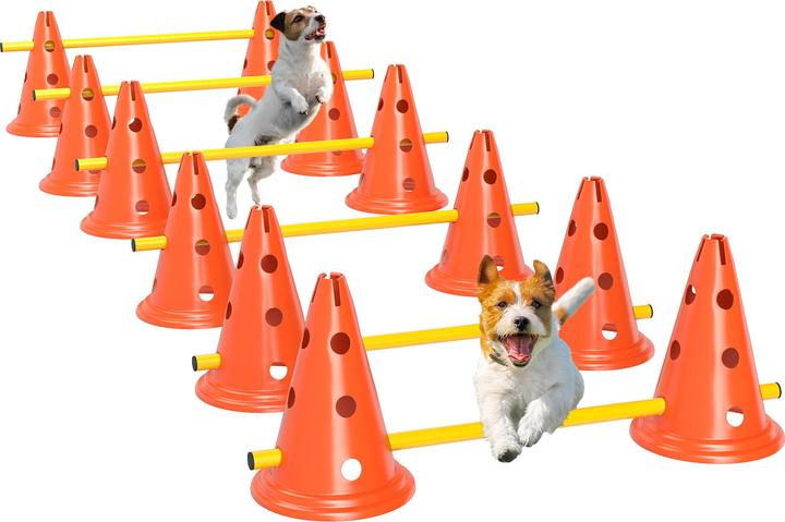 PawHut Hund Agility Set Kunststoff Orange (Destrezza)