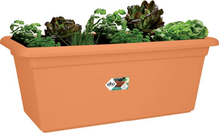Immagine prodotto Elho Giardino Green Basics Xxl (77 x 39 x 34.50 cm)