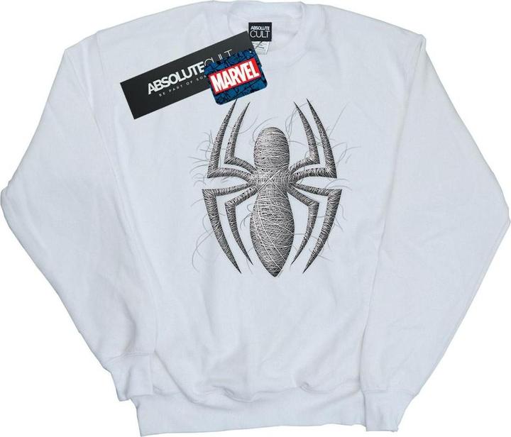 Actual product image Boys Spider-Man Web Logo Sweatshirt (140, 146)