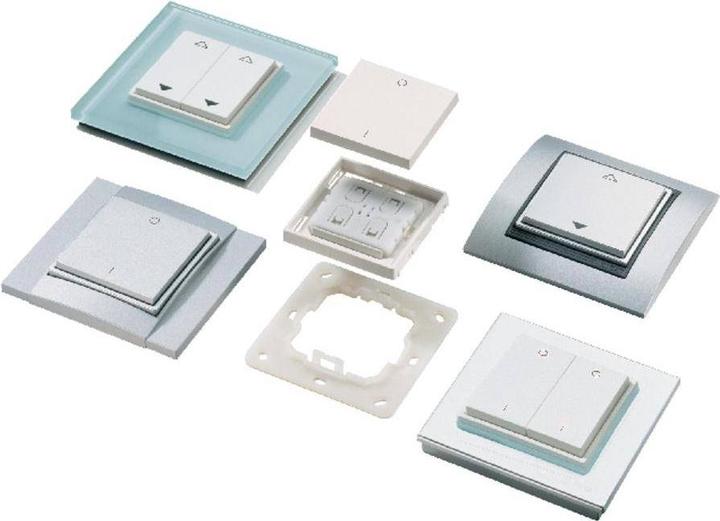 Actual product image Wago Radio switch insert