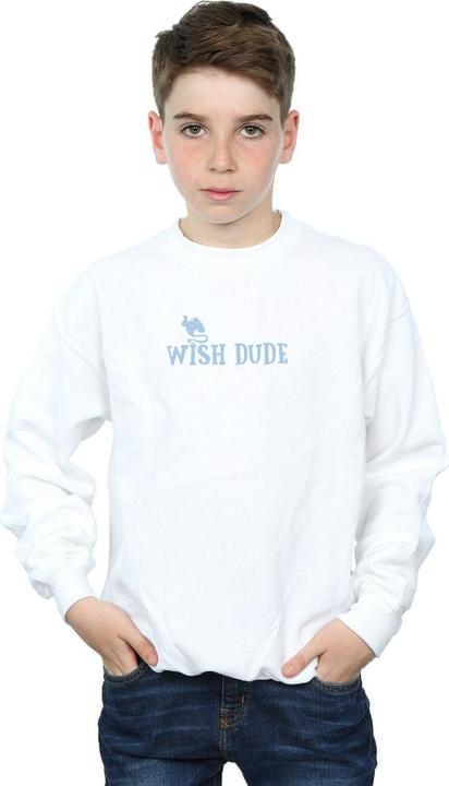 Produktbild Disney Aladdin Wish Dude Sweatshirt Jungen (152, 158)