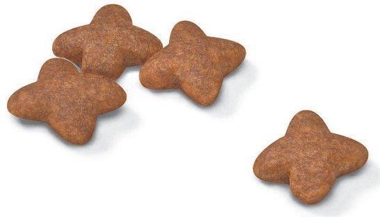 Produktbild Royal Canin Mini Adult (Adult, 800 g)