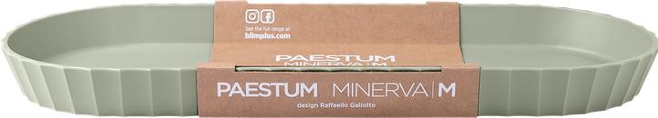 Actual product image Blim Plus Tablett Minerva Gr. M 37.5x15 cm