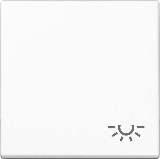 Actual product image JUNG Rocker switch A aws glz light A590BFLWW