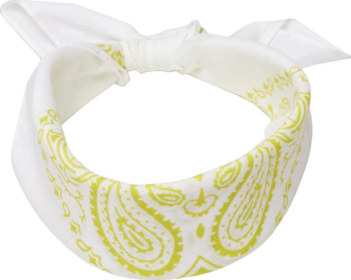 Image du produit Masterdis bandana