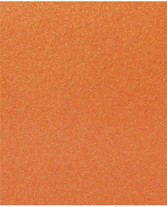 Image du produit Tecwerk Schleifpapier (40)