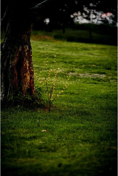 Produktbild Star Trading Decorativer Baum Reedy