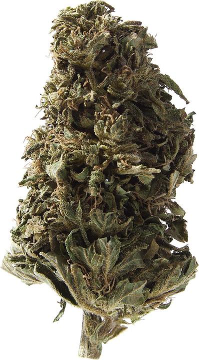 Immagine prodotto Herba di Berna Orangello (64.60 g, Esterno)