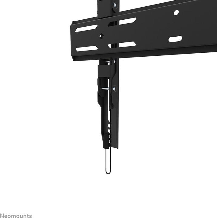 Actual product image Neomounts Wall Mount WL30S-850BL14 Black (Wall, 75", 60 kg)