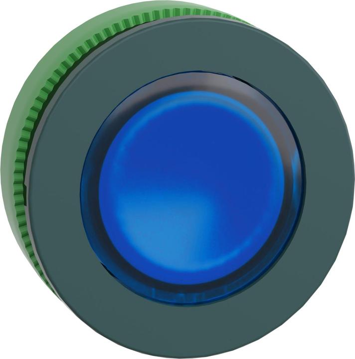 Produktbild Schneider Electric Flush Blue Caps Pb Head For Legend
