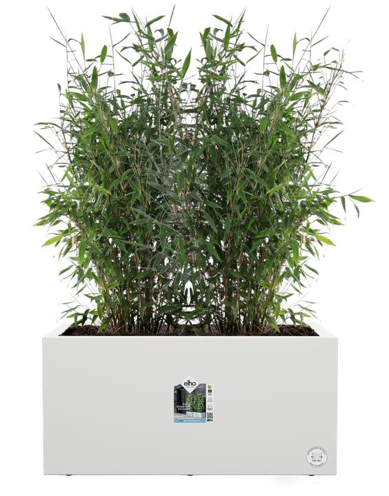 Produktbild Elho Vivo Next Lang (600 cm)