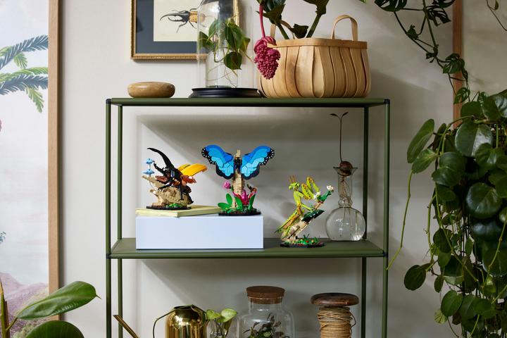 Image du produit LEGO La collection d'insectes (21342, LEGO Ideas)