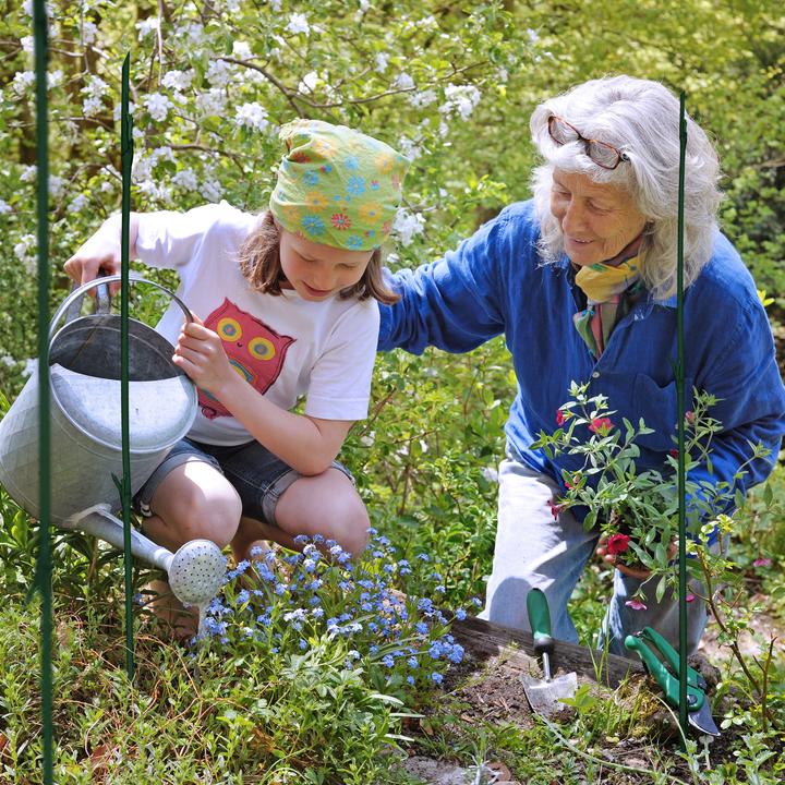 Produktbild Relaxdays 25x Pflanzstäbe (1 cm, 1 cm)