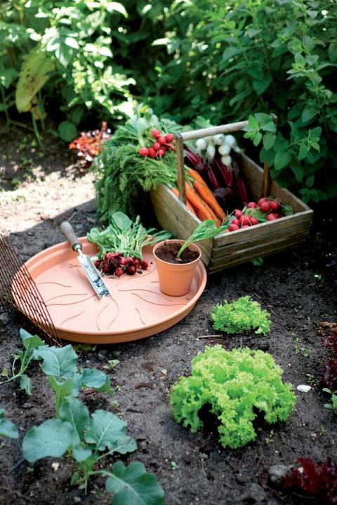 Produktbild Elho Green Basics