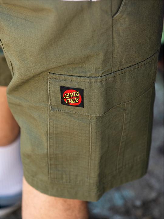 Actual product image Santa Cruz Defeat Workshort (28)