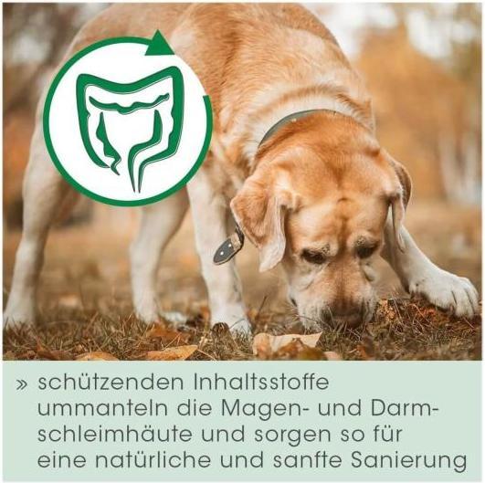 Produktbild cdVet Magenschutz (Senior, Adult, 1 Stk., 200 g)
