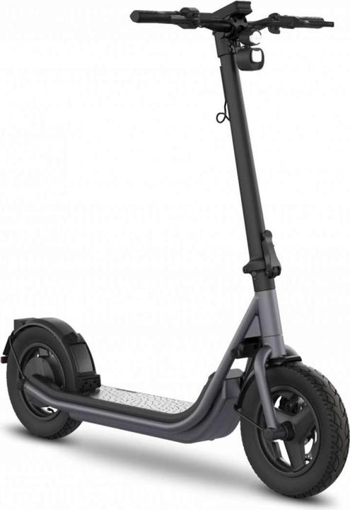 Produktbild Egret X+ (20 km/h, 60 km, 500 W)