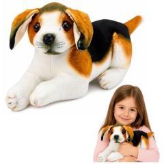 Produktbild Lean Toys Plüsch-Beagle, 25 cm
