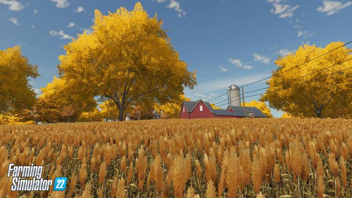 Actual product image Giants Software Farming Simulator 22 Premium Edition (PC)