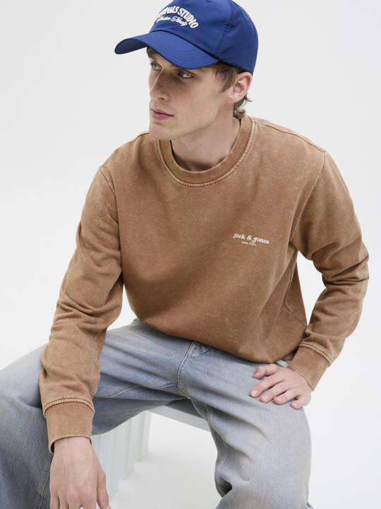 Produktbild Jack & Jones Jjedover Print Sweat Crew Neck (M)