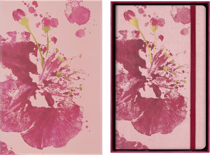 Image du produit Moleskine NB Sakura 26 LG bla + Box (Large 13x21, Blanc, Couverture rigide)