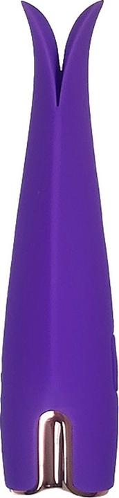 Produktbild Bijoux Indiscrets Caress