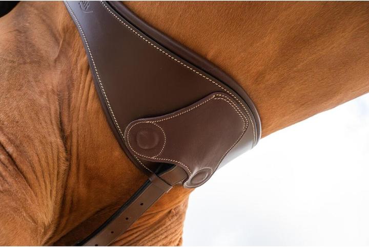 Image du produit HFI Master Sangle bavette d'équitation anatomique avec aimants