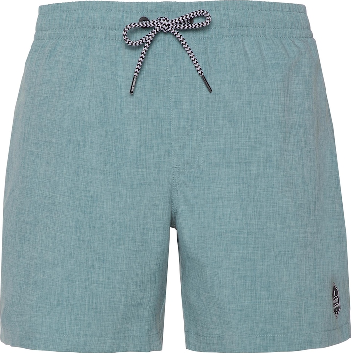 Protest DAVEY beachshort