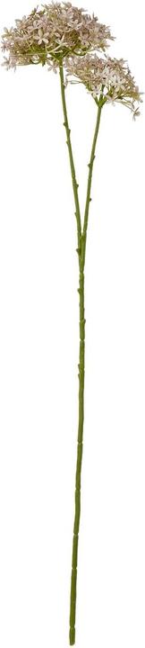 Actual product image Hill Interiors Hydrangea Artificial Flower (71 cm)