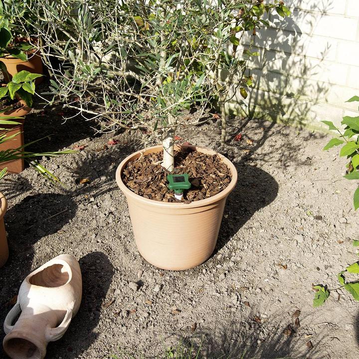 Produktbild Gardigo 70030INT Solar Insektenvertreiber (Ø x H) 7.5 cm x 27.5 cm Grün, Silbe