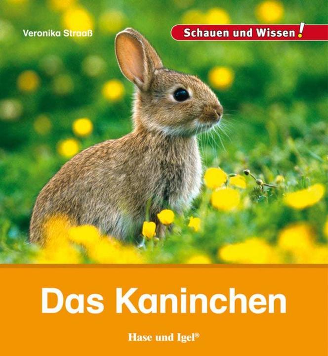 Produktbild Das Kaninchen (Deutsch, Veronika Straaß, 2014)