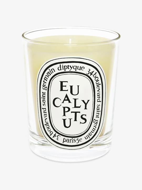 Image du produit Diptyque Eucalyptus (190 g)