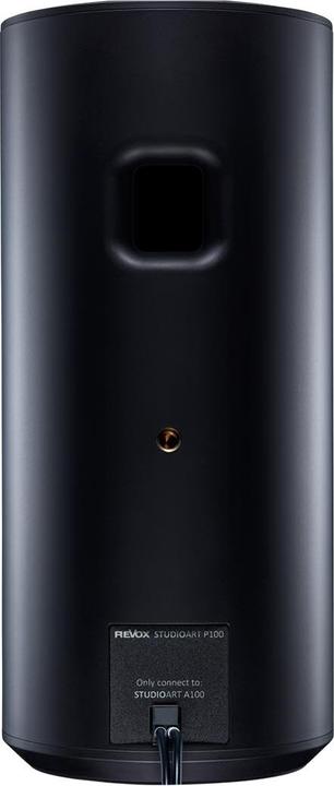 Immagine prodotto Revox Studioart P100 (Airplay 2)