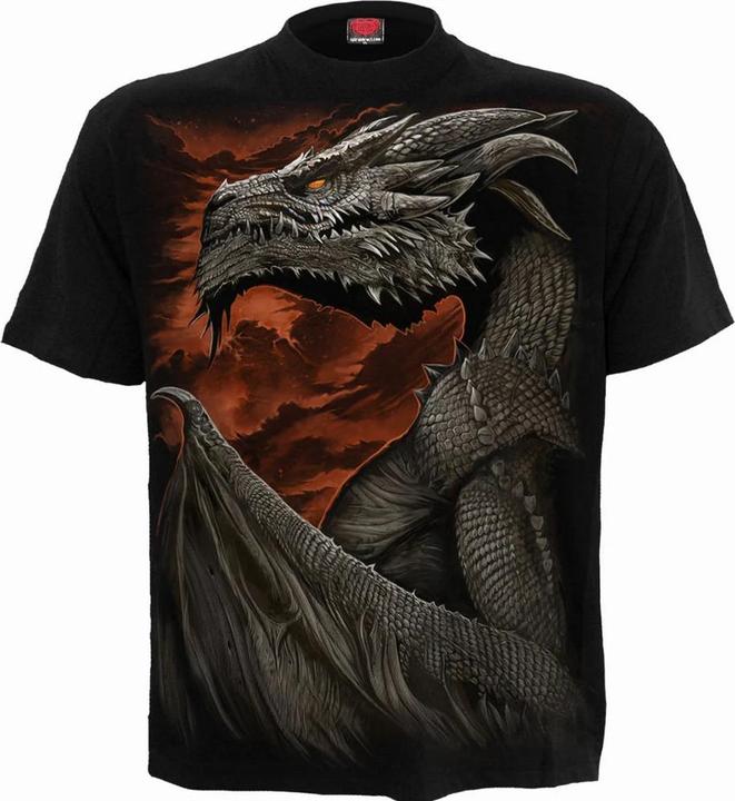 Immagine prodotto Spiral Majestic Draco Maglietta Maniche Corte Bambini (170, 176)