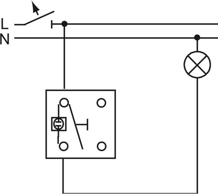 Actual product image Busch-Jaeger toggle