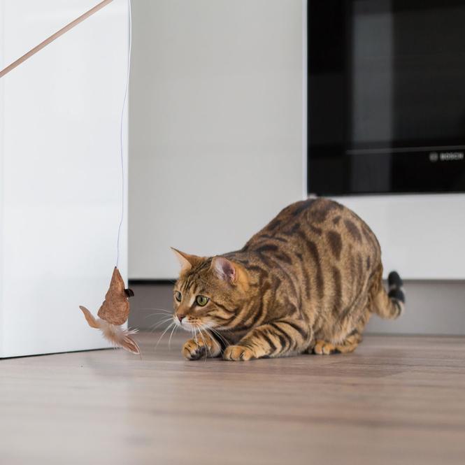 Produktbild Pet Toys Cat Teaser Toy 41cm 3as