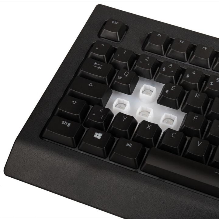 Produktbild Razer Cynosa V2 (Deutschland, Kabelgebunden)